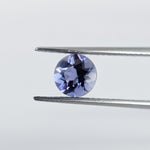 Iolite (6 mm) Round