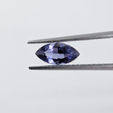 Iolite (8 mm x 4 mm) Marquise