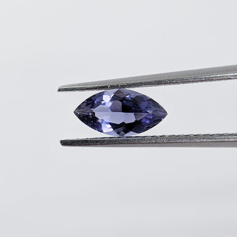 Iolite (8 mm x 4 mm) Marquise