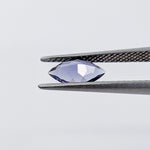 Iolite (8 mm x 4 mm) Marquise