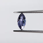 Iolite (8 mm x 4 mm) Marquise