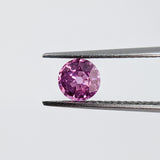 Pink Sapphire (5 mm) Round