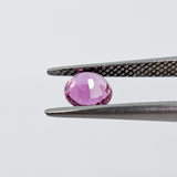 Pink Sapphire (5 mm) Round