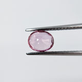 Pink Sapphire (6.5 mm x 5.3 mm) Oval