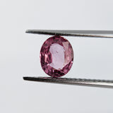 Pink Sapphire (6.5 mm x 5.3 mm) Oval