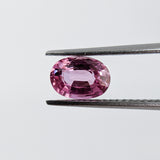 Pink Sapphire (7 mm x 5 mm) Oval