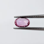 Pink Sapphire (7 mm x 5 mm) Oval