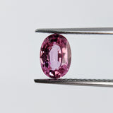 Pink Sapphire (7 mm x 5 mm) Oval