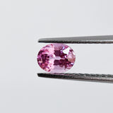 Pink Sapphire (5 mm x 4 mm) Oval