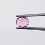 Pink Sapphire (5 mm x 4 mm) Oval