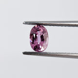 Pink Sapphire (6 mm x 4 mm) Oval