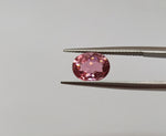 Pink Tourmaline ( 11.0 mm x 9.0 mm ) Oval