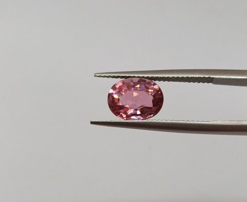 Pink Tourmaline ( 11.0 mm x 9.0 mm ) Oval