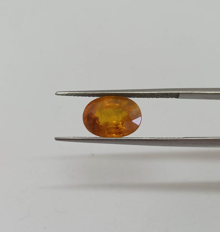 Yellow Sapphire (11.0 mm x 8.0 mm) Oval ( 5.00 cts/Pcs)